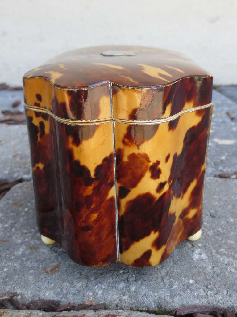 tortoiseshell box