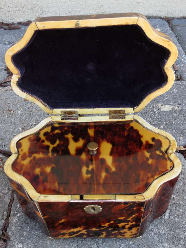 tortoise shell furniture