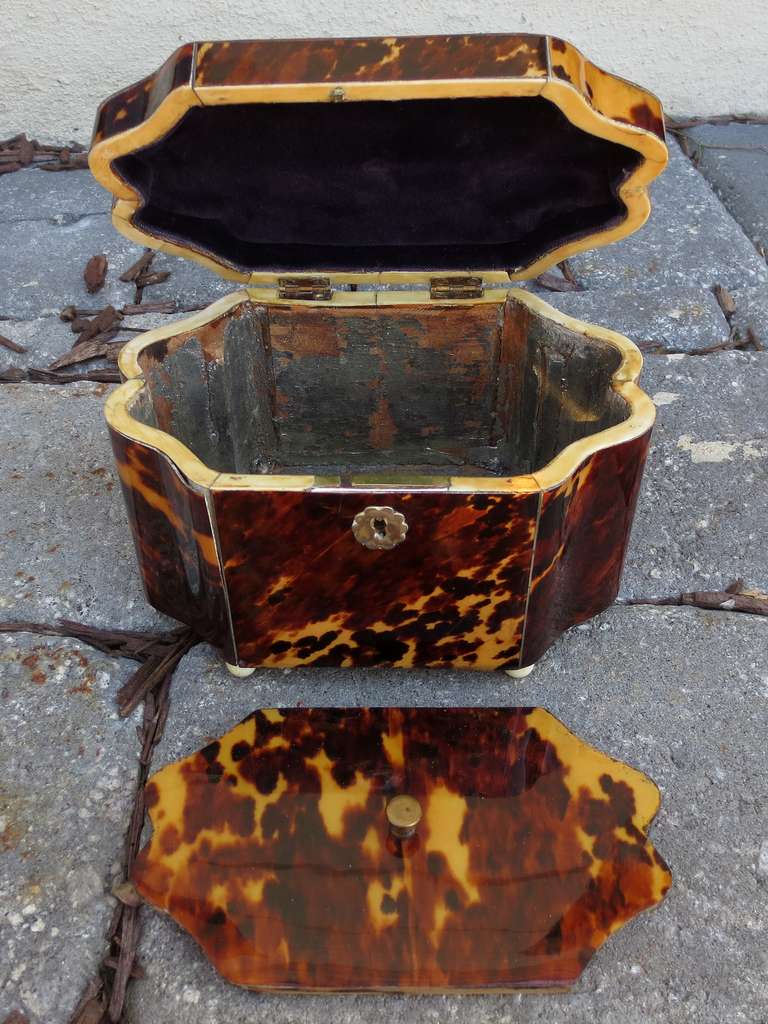 19th Century English Tortoise Shell Box with Ivory & Sterling Accents In Good Condition In Atlanta, GA