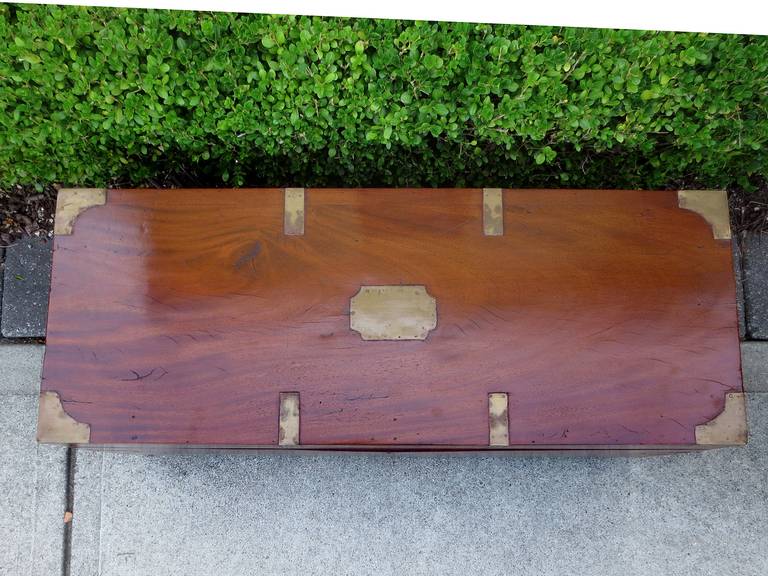19th Century Chinese Export Brass Bound Camphor Trunk In Good Condition In Atlanta, GA