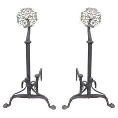 Pair of 19th Century Brass and Iron Medallion Andirons