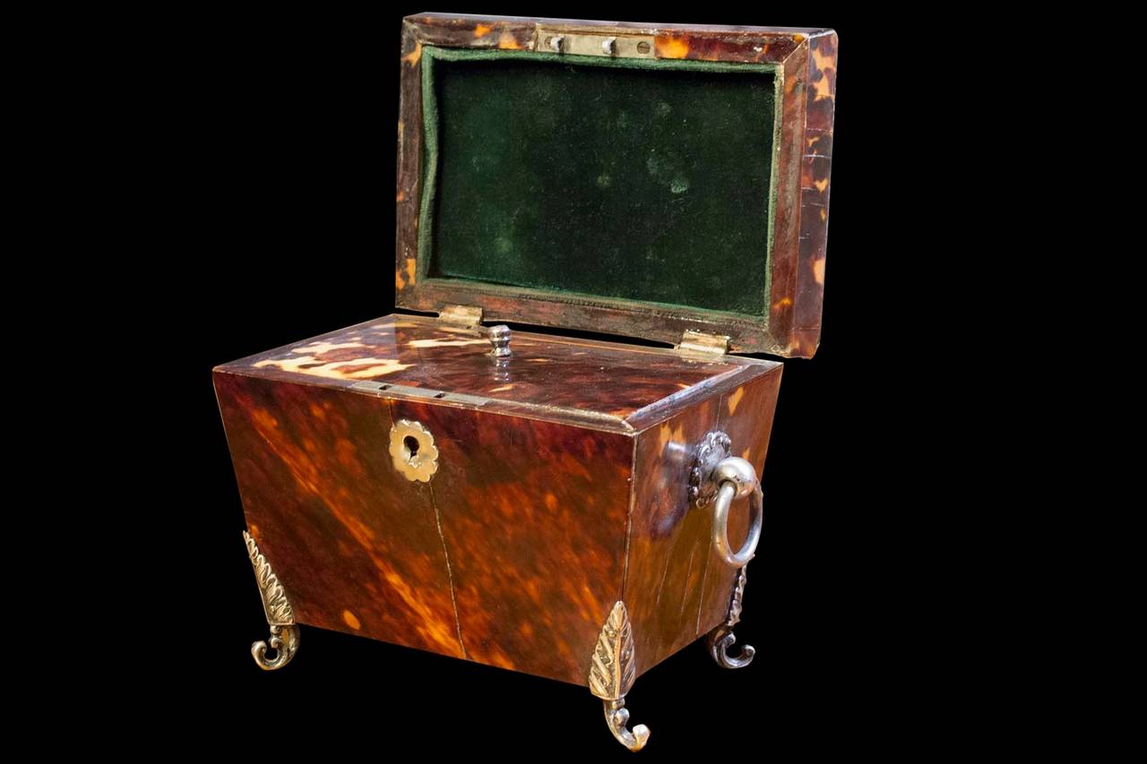 Regency Tortoise Shell Tea Caddy, circa 1880 In Excellent Condition For Sale In New York, NY