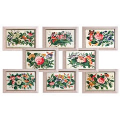 Set 8 Chinese Floral Paintings on Pith with White Ribbed Fame