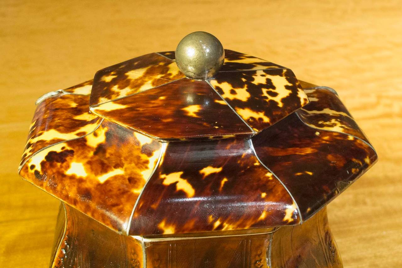 # ZA658 - Regency pressed  tortoiseshell Tea Caddy.
English, circa 1820 

Click on 