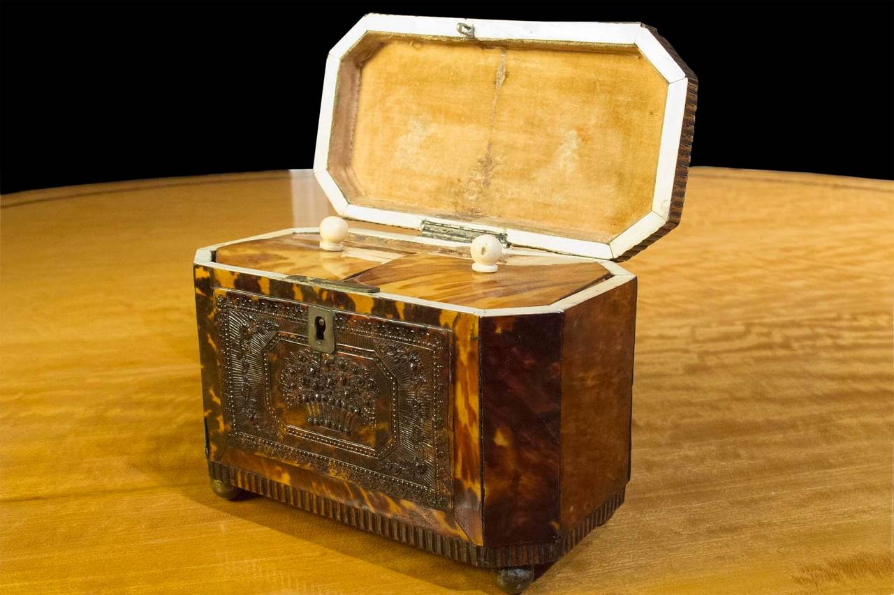 Regency Pressed Tortoiseshell Rectangular Tea Caddy, circa 1820 For Sale