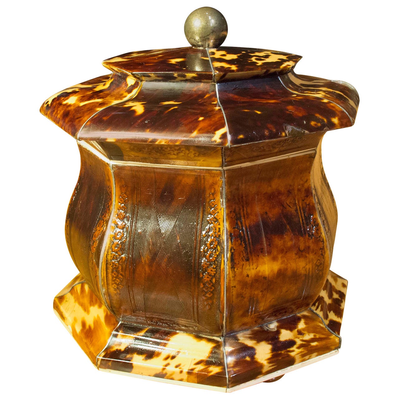 Pressed  Tortoiseshell Tea Caddy, circa 1820 For Sale