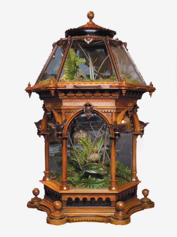Singular Victorian Carved Wood Terrarium. English C 1860