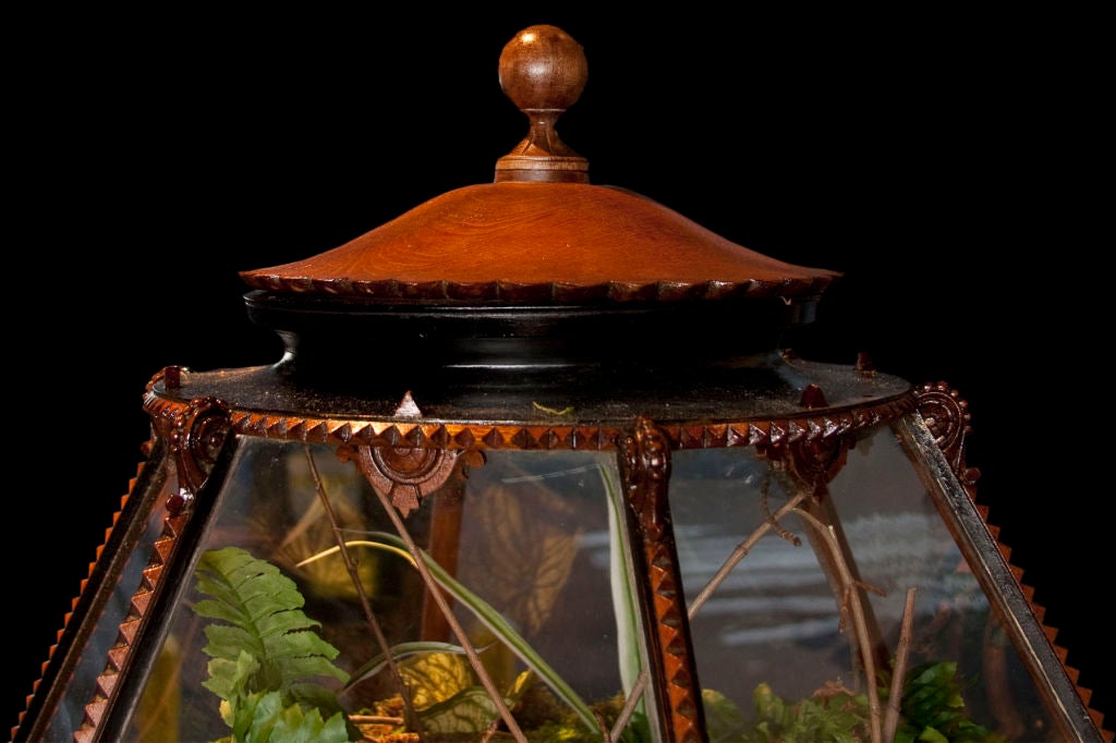 Singular Victorian Carved Wood Terrarium. English C 1860 at 1stdibs