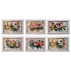 Set 6 Chinese Floral Paintings on Pith with White Ribbed Fame