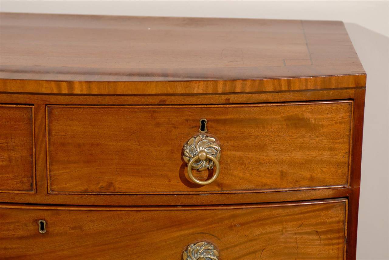 English Mahogany Bow Front Chest of Drawers 4