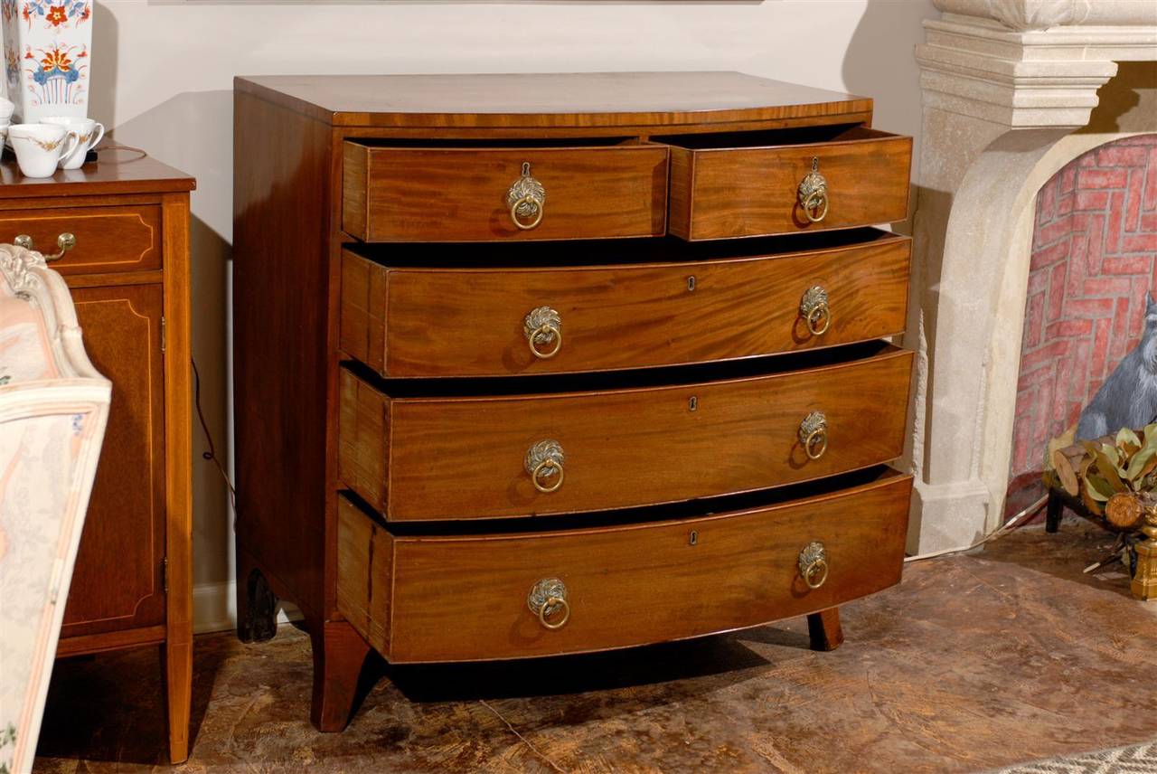 English Mahogany Bow Front Chest of Drawers 2