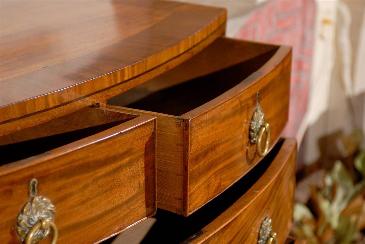 Inlay English Mahogany Bow Front Chest of Drawers
