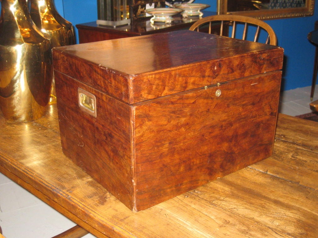 Large Antique Humidor With Brass handles at 1stDibs
