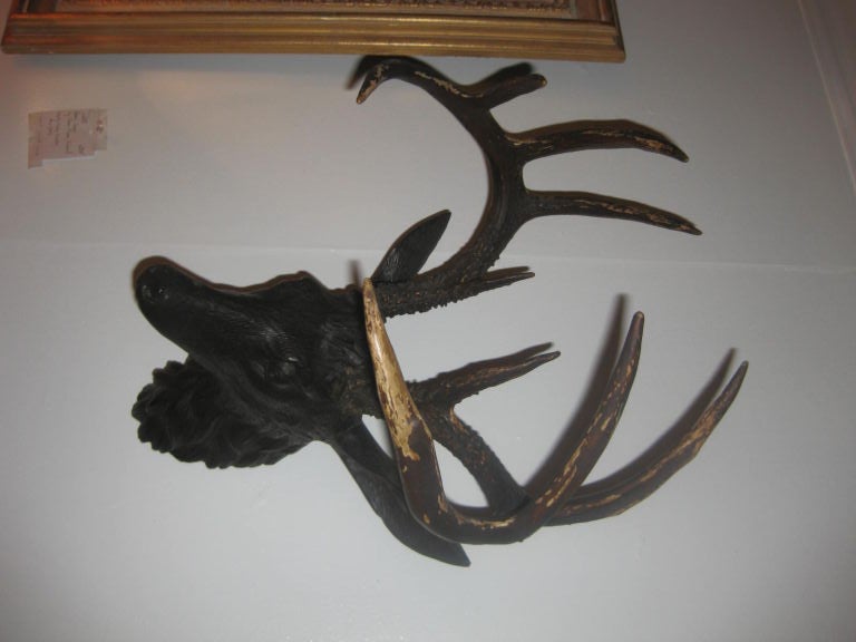 Carved wood deer heads with real antlers