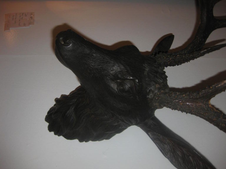 19th Century Black Forest Carved Deer Head With Real Antlers