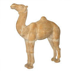 Large Carved camel