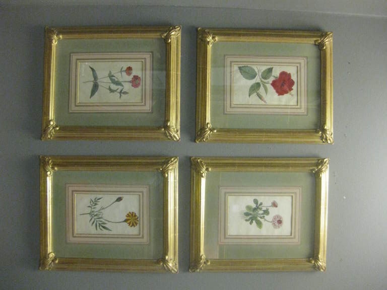 A set of four Curtis engravings with custom 22K gold leaf frames and hand colored mattes