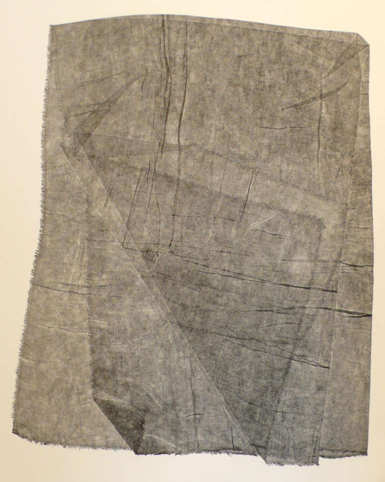 Framed monoprint of silk marquisette by New York CIty artist Louise Kramer, part of a series done in the mid-1970's. Kramer studied at the Cooper Union with Max Beckmann and at Hunter College with Robert Morris. She has been represented by New