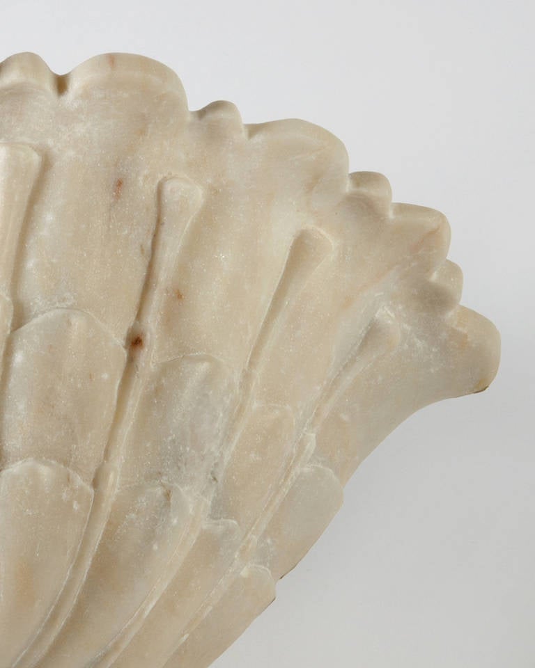 Alabaster Shell Sconce 1