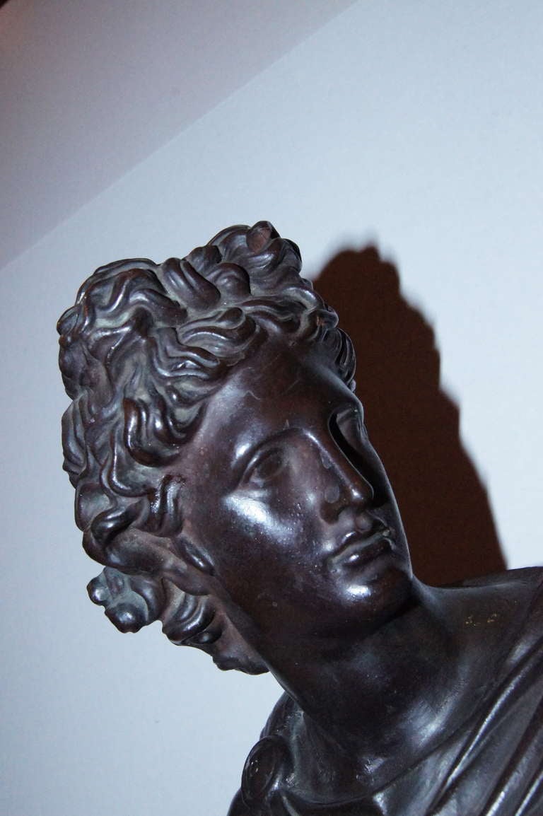 A 1920's Danish terracotta bust of Apollo Belvedere with dark finish.

Measurements:
Height: 17