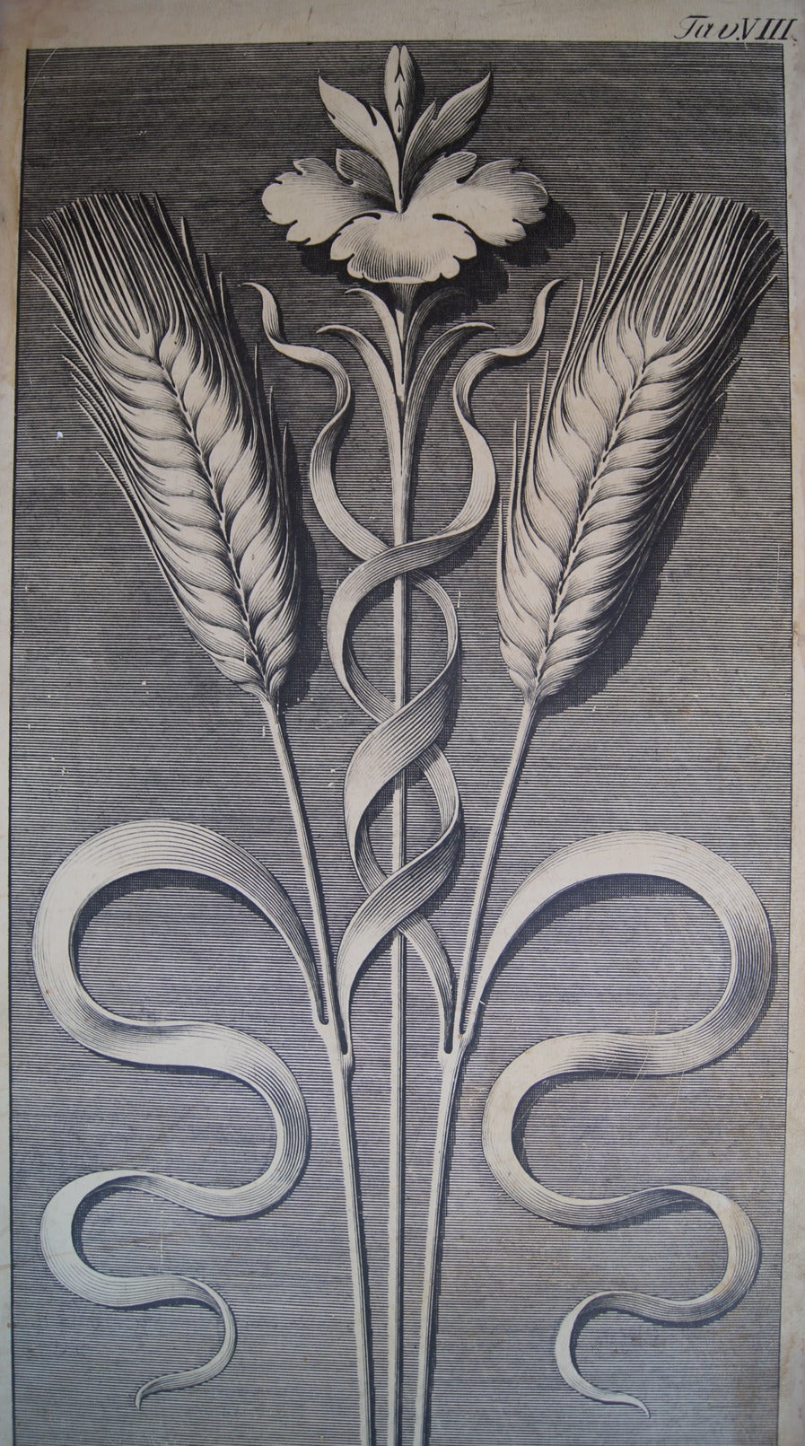 Early 20th Century Pair of Large Architectural Drawing Wooden Panels For Sale