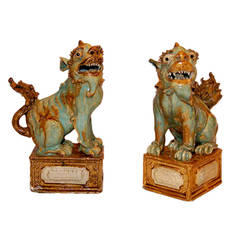 Pair of Porcelain Foo Dogs