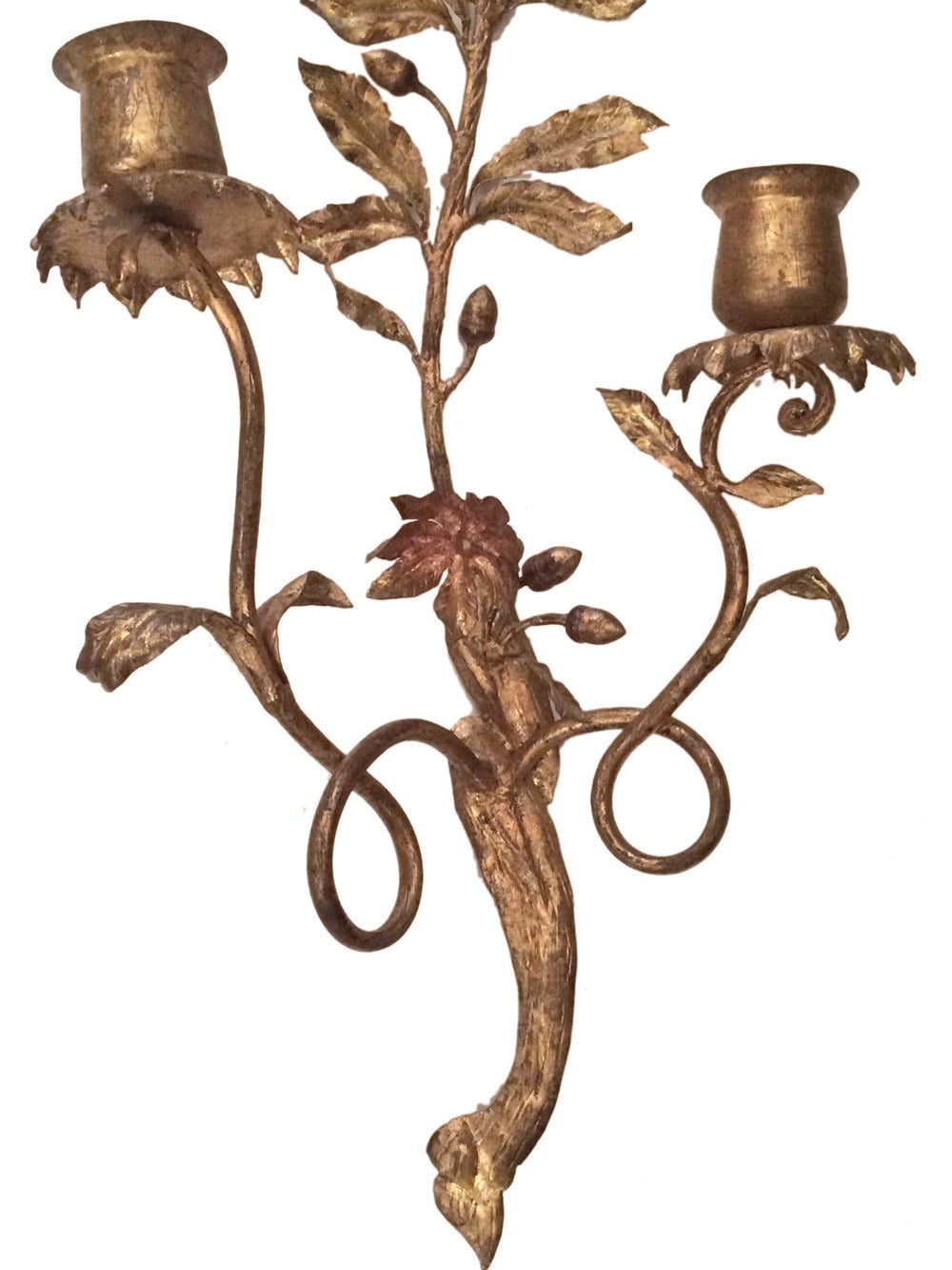 Pari of large gilt metal double light sconces with foliage and acorn motif.
Measures: 26 height, 14 wide, 6 deep.