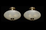 Pair of Molded Glass Light Fixtures