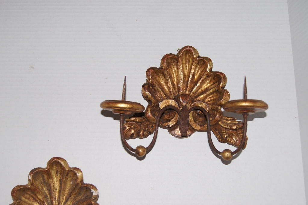 Shell Gilt Wood Sconces