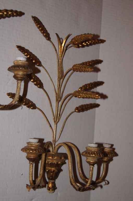 Wheat Sconces