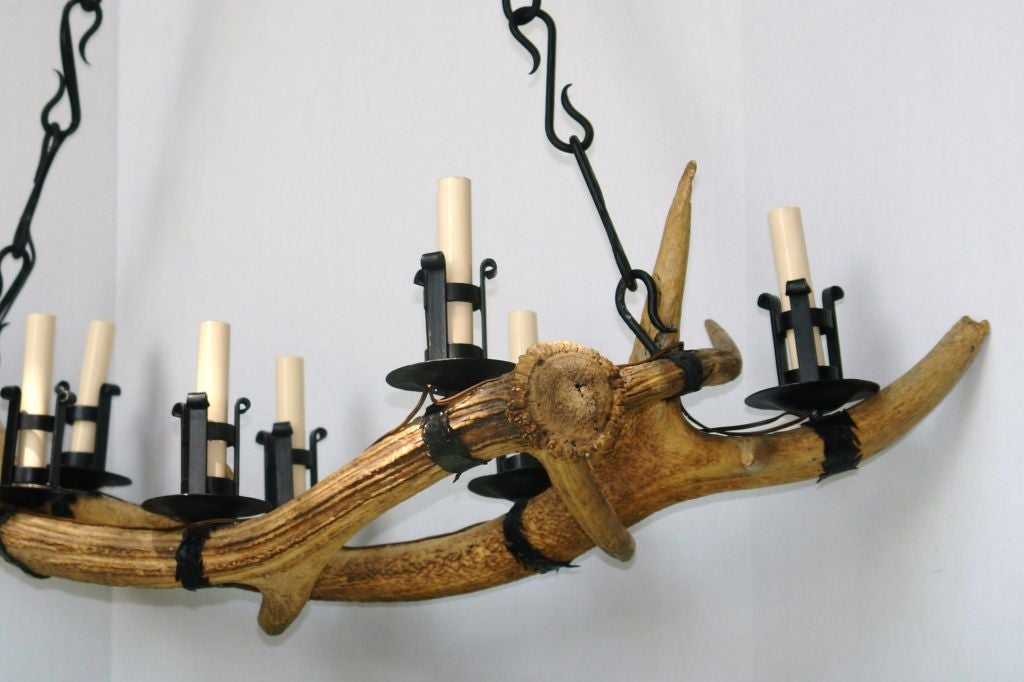 Mid-20th Century Antler and Iron Horizontal Chandelier For Sale