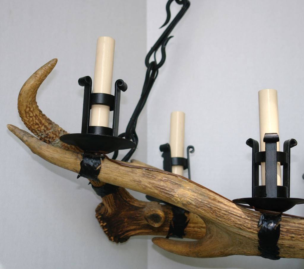 Antler and Iron Horizontal Chandelier For Sale 5