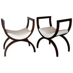 Pair of early 19th Century Mahogany Benches, Curule Shaped with High Arms
