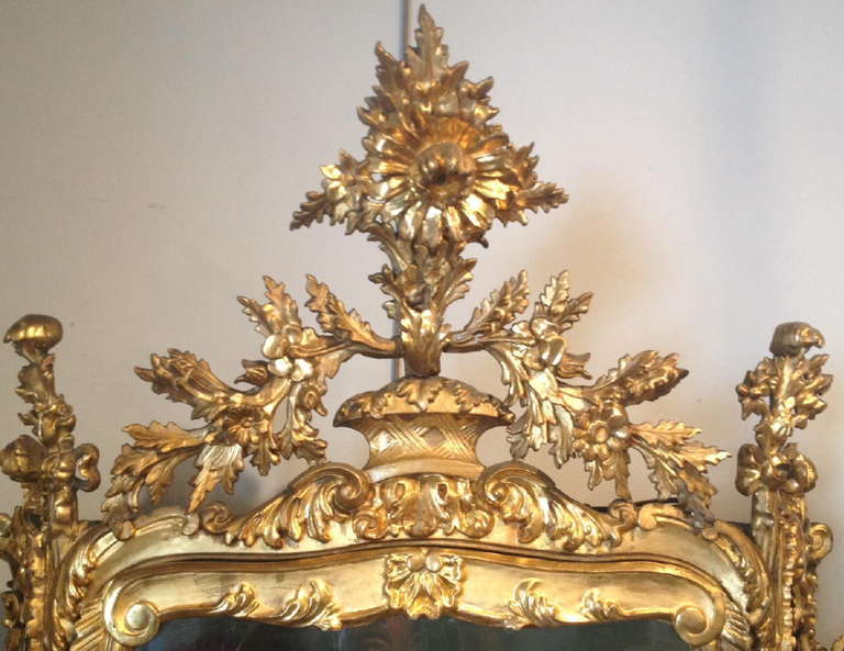 Italian Baroque Style Gilt Wood Display Cabinet In Excellent Condition In West Palm Beach, FL