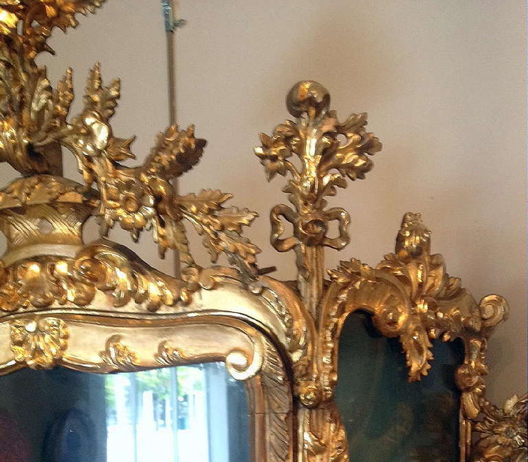 19th Century Italian Baroque Style Gilt Wood Display Cabinet