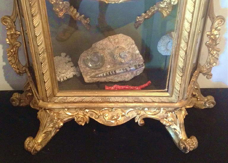 Italian Baroque Style Gilt Wood Display Cabinet 1