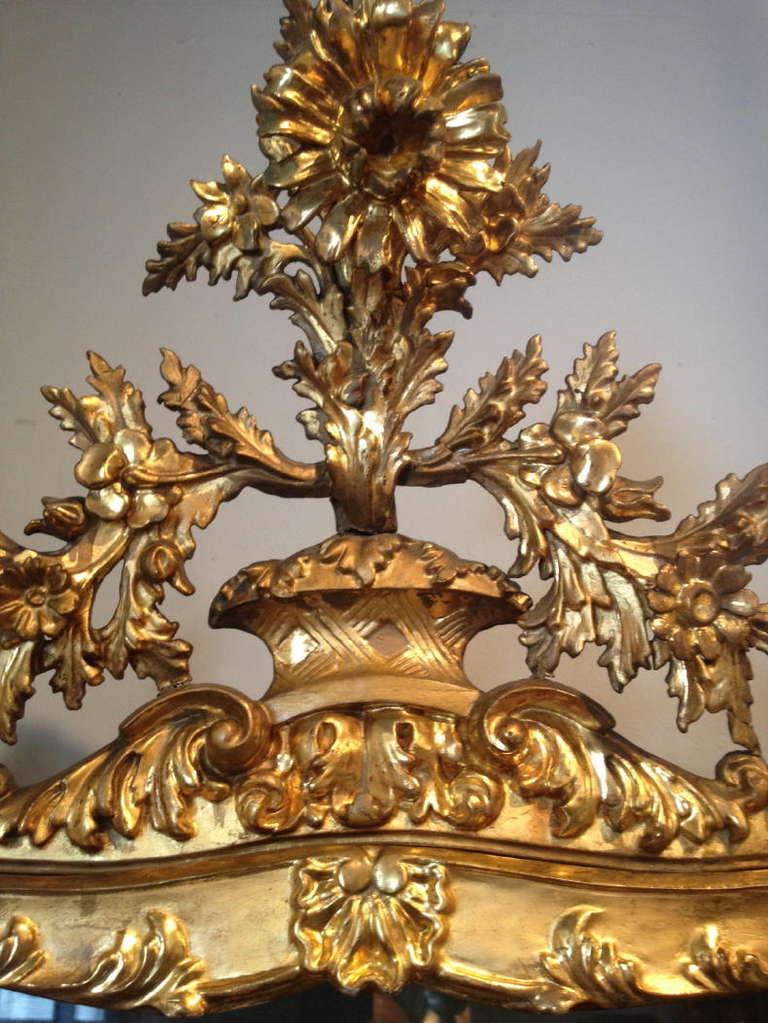 Italian Baroque Style Gilt Wood Display Cabinet 3