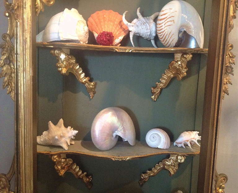 Italian Baroque Style Gilt Wood Display Cabinet 6