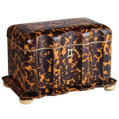 English Regency Tea Caddy