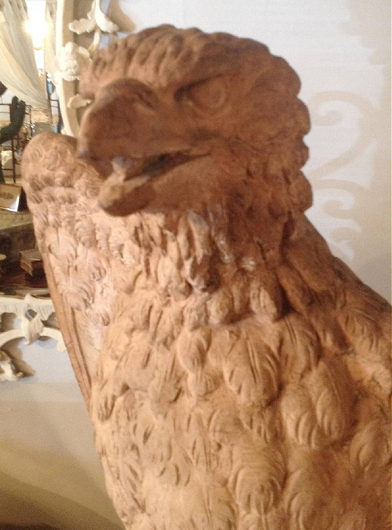 19th Century European Terra Cotta Eagle
