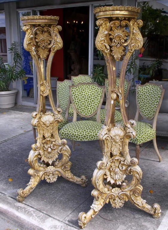 Pair Of Chippendale Style Torcheres