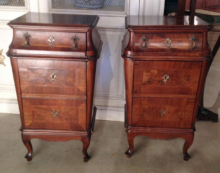 Pair of 19th Century Italian Commodini