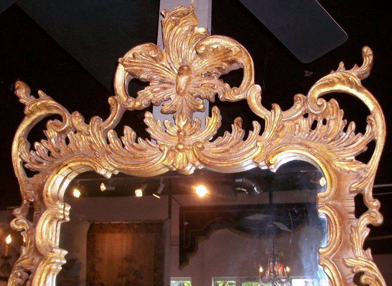 20th Century Gilt Wood Rococco Style Mirror