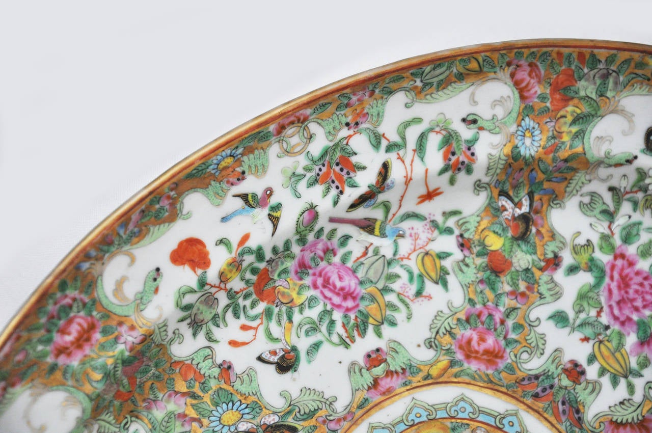 Exquisite Chinese mid 19th century famille rose oval platter.  Platter is in excellent condition.  lovely colors, insects, butterflies, vines, birds and flowers.