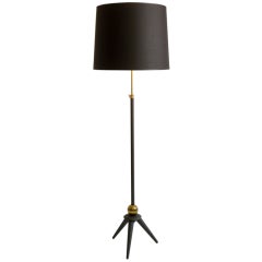  French Brass and Wood Floor Lamp