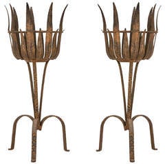Pair of French Gilt Jardiniere
