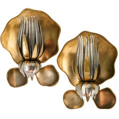Pair of large French lotus flower wall sconces in brass.