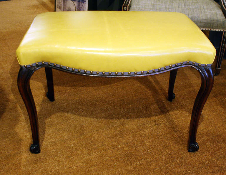 Rococo mahogany serpentine fronted bench. Reupholstered in yellow leather with grey grosgrain trim.