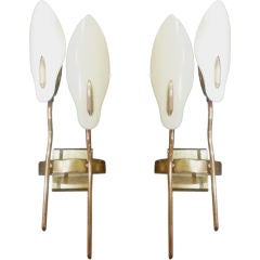 Pair of Calla Lily Solid Brass Double Stem Sconces