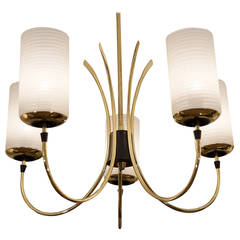 Five-Arm Chandelier in Brass with Cylindrical Glass Shades